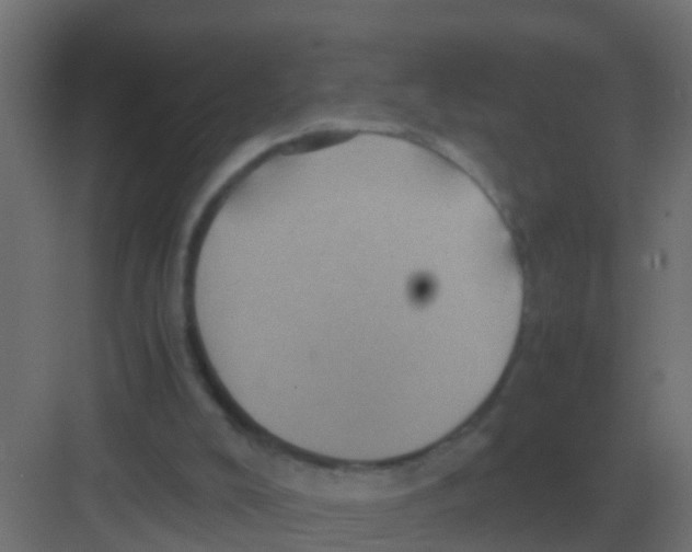 X0000081330008200702082214