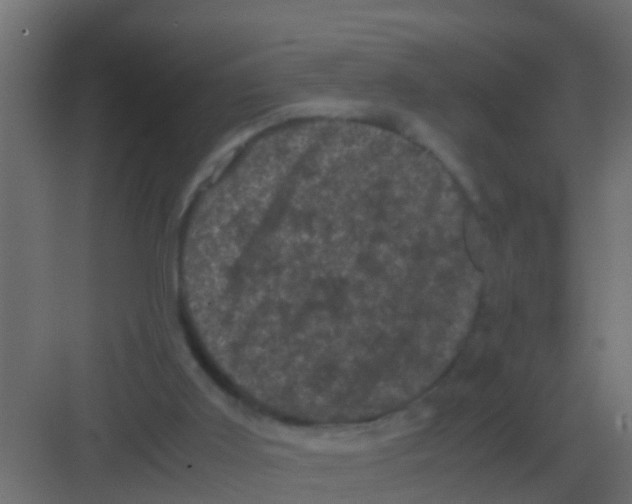 X0000081330011200702082214