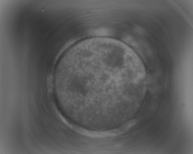 X0000081330012200702082214