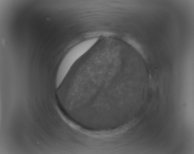 X0000081330013200702082214