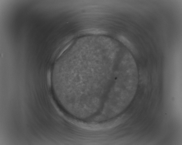 X0000081330014200702082214