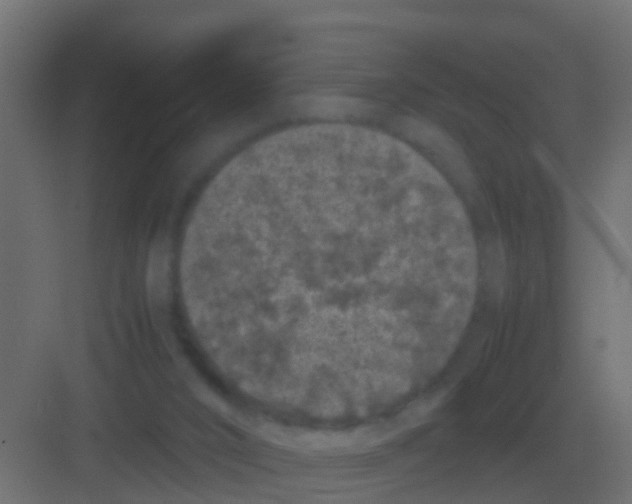 X0000081330016200702082214