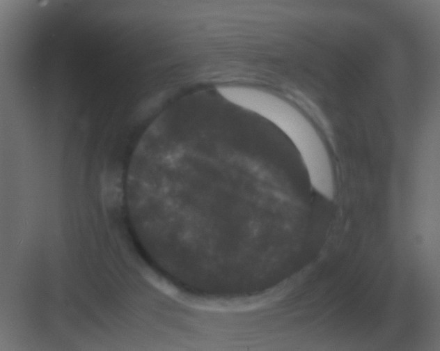 X0000081330017200702082214