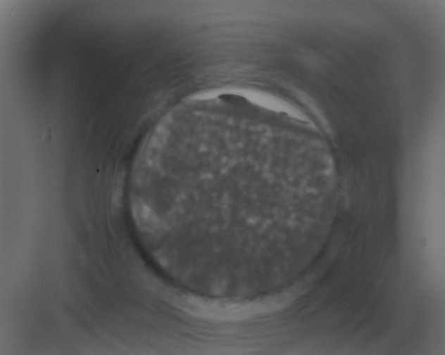 X0000081330018200702082214