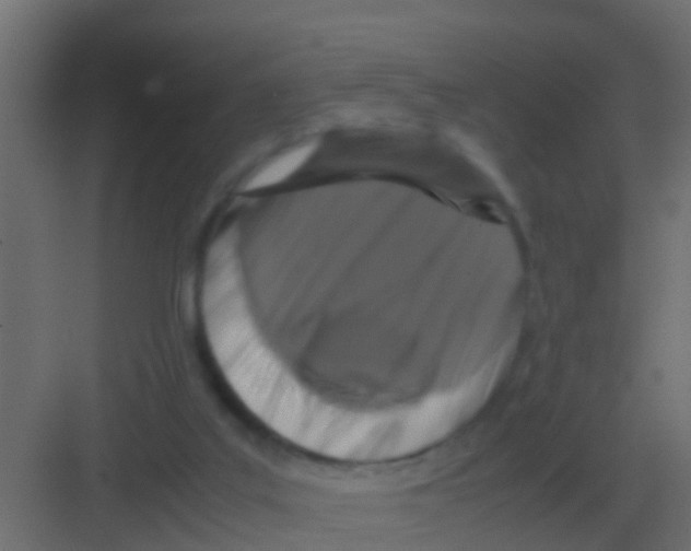 X0000081330019200702082214