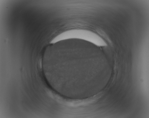 X0000081330021200702082214