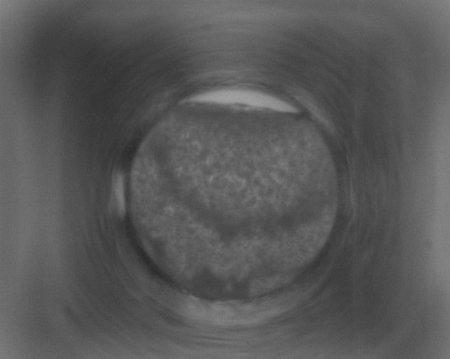 X0000081330022200702082214