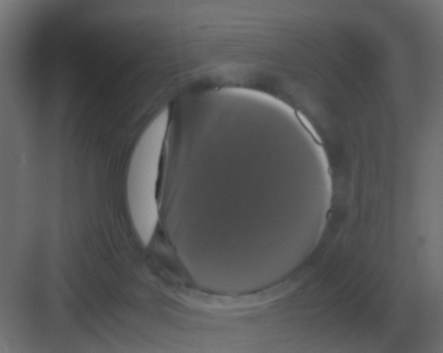 X0000081330027200702082214