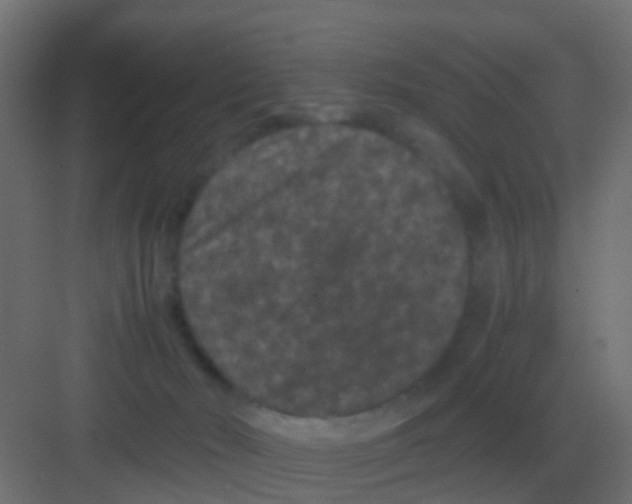 X0000081330030200702082214