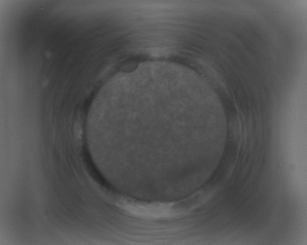 X0000081330032200702082214