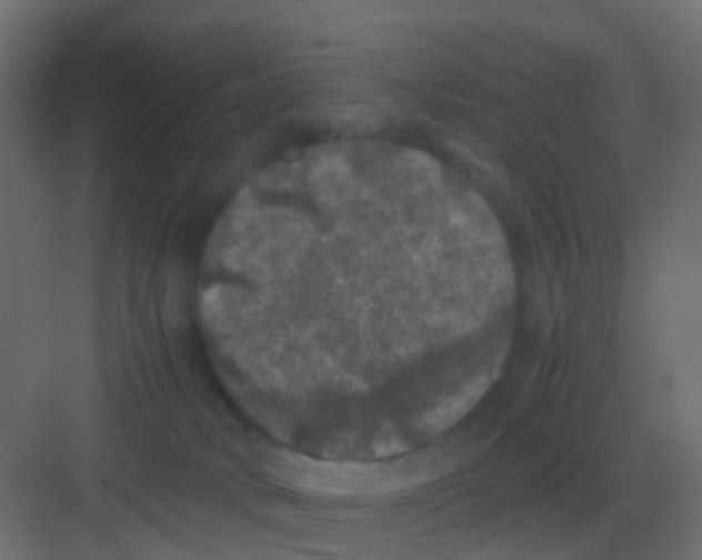 X0000081330034200702082214