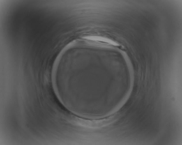 X0000081330035200702082213