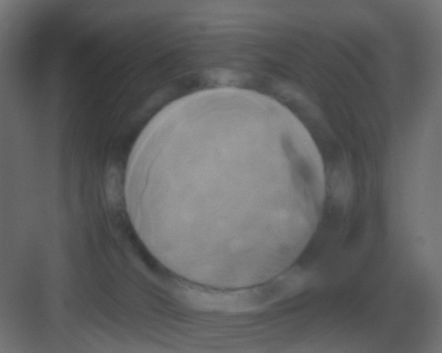 X0000081330036200702082213