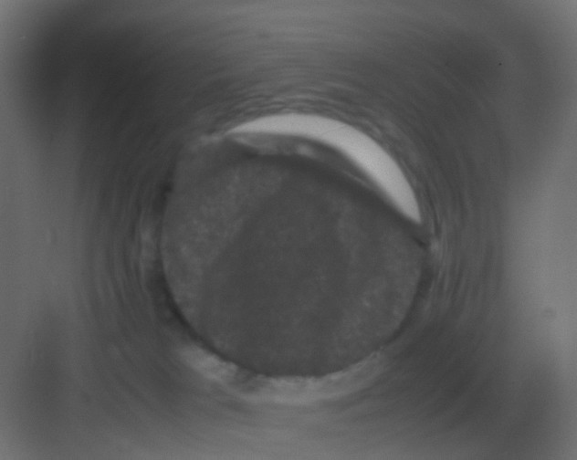 X0000081330037200702082213