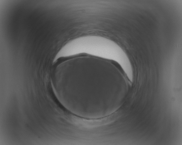 X0000081330039200702082213