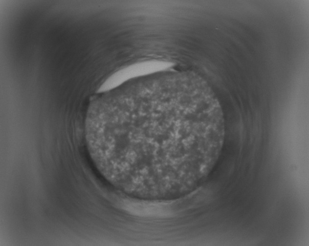 X0000081330040200702082213