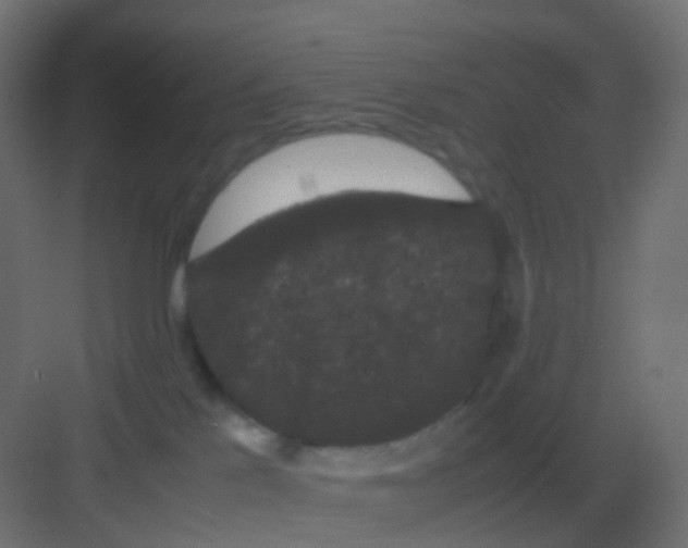 X0000081330041200702082213