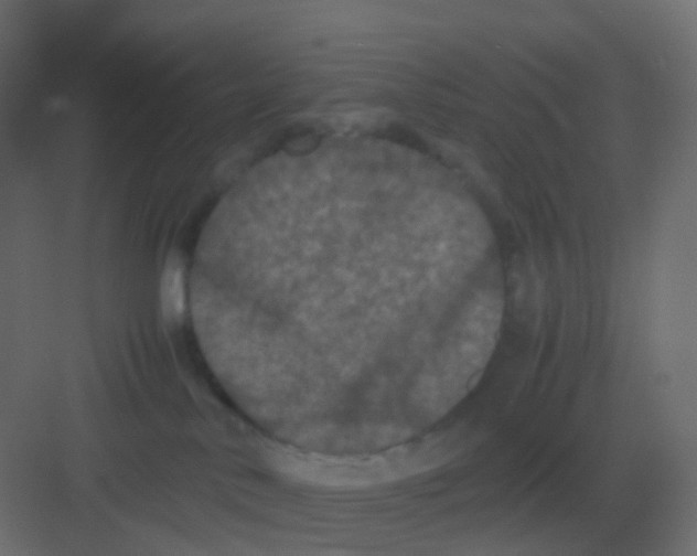 X0000081330042200702082213