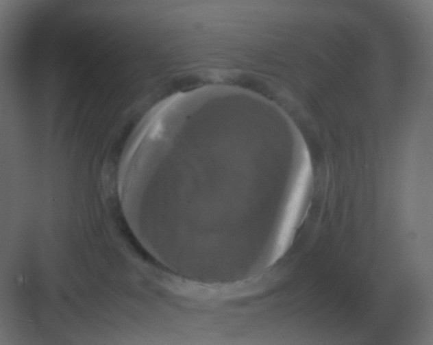 X0000081330043200702082213