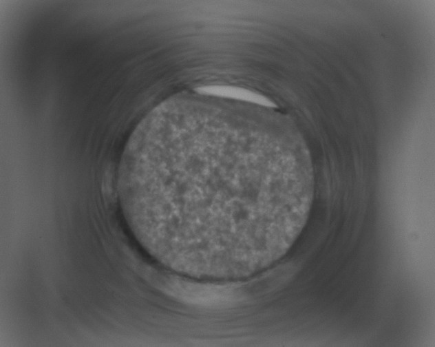 X0000081330044200702082213