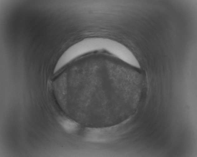 X0000081330045200702082213