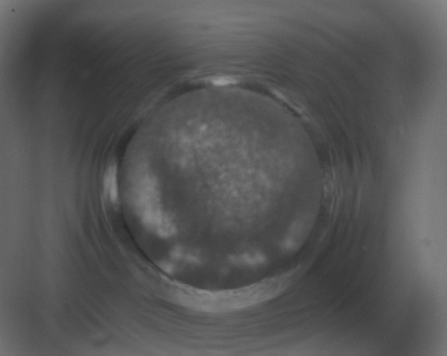 X0000081330046200702082213