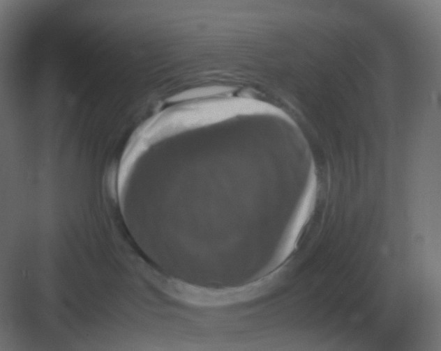 X0000081330047200702082213