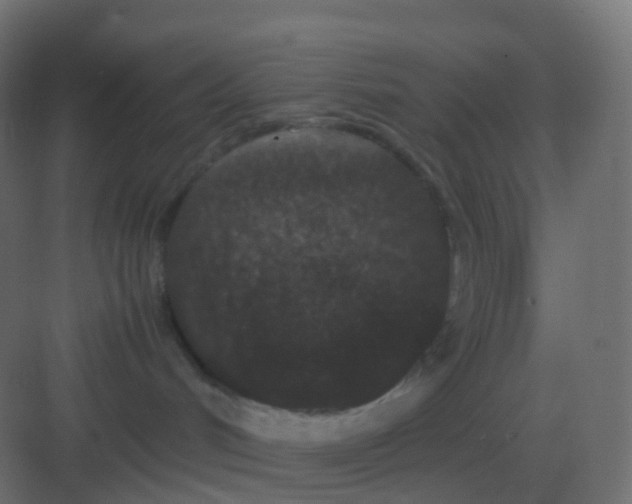 X0000081330048200702082213