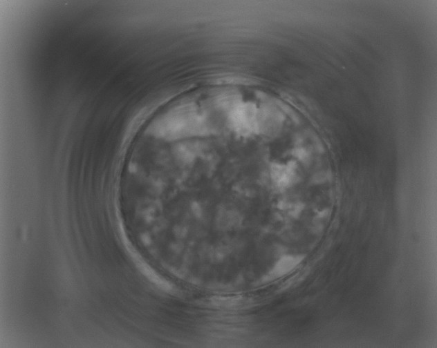 X0000081330049200702082212