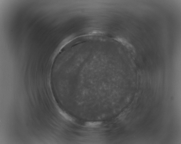 X0000081330051200702082212