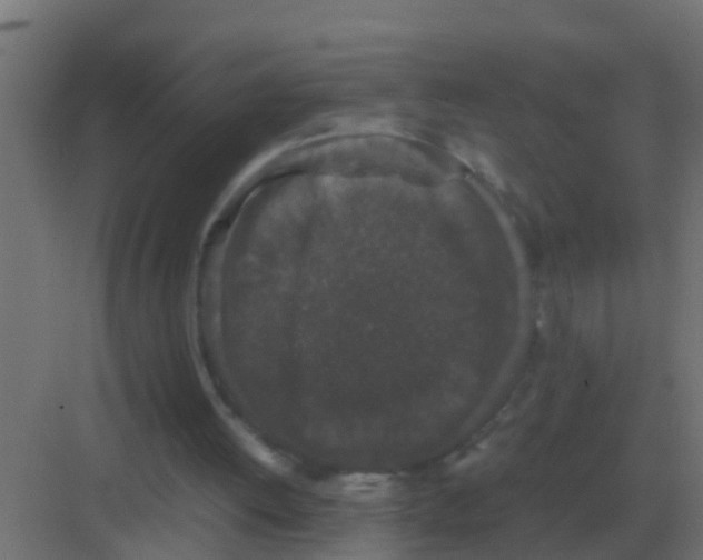 X0000081330052200702082213