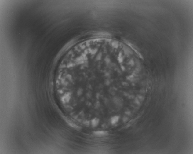 X0000081330053200702082213