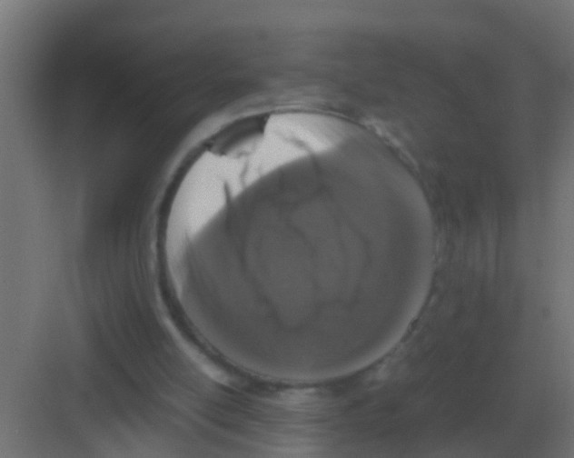 X0000081330054200702082213