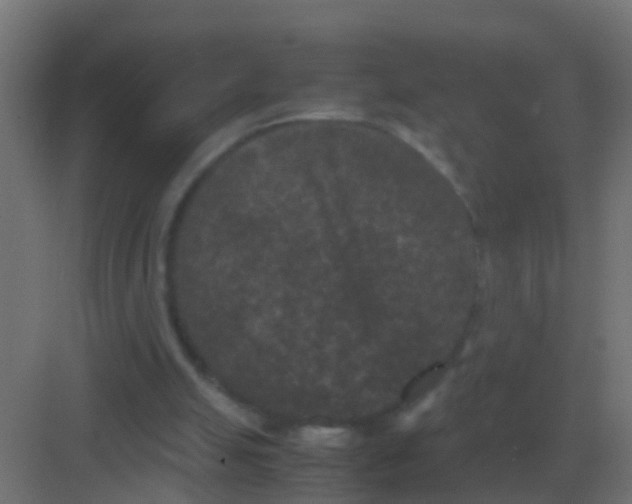 X0000081330055200702082213