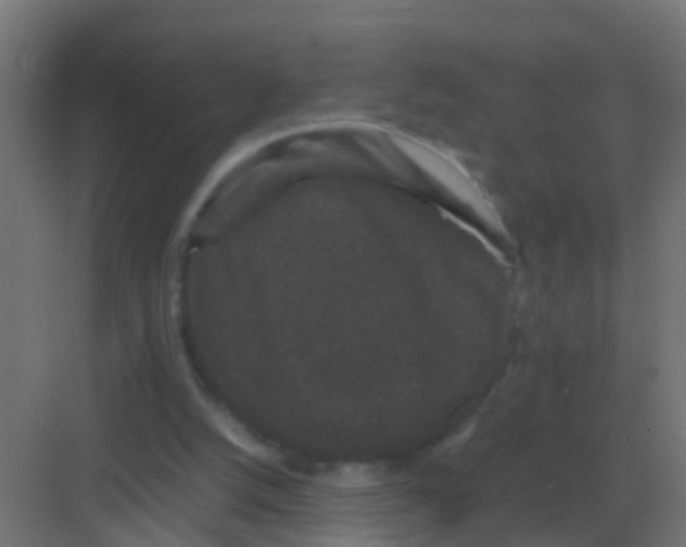 X0000081330056200702082213