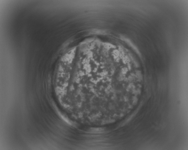 X0000081330057200702082213