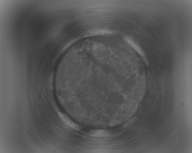 X0000081330058200702082213