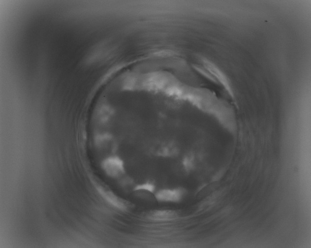 X0000081330059200702082213