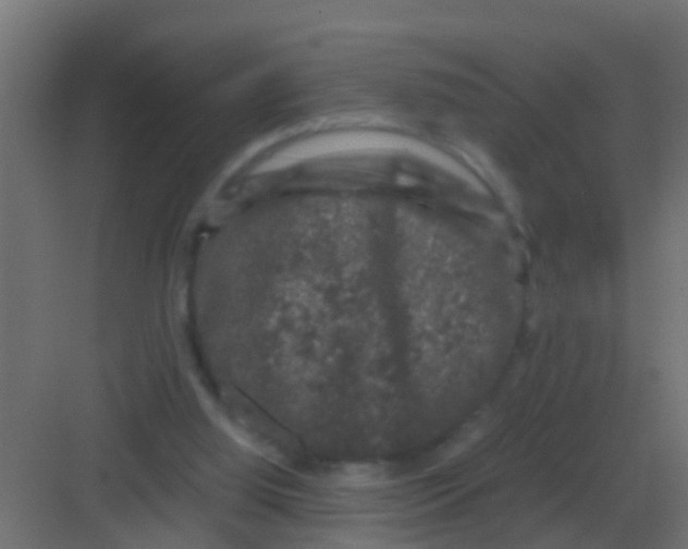 X0000081330060200702082213