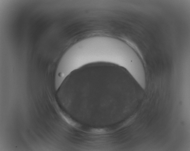 X0000081330061200702082213