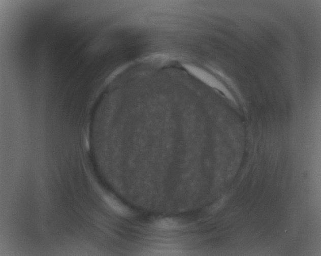 X0000081330062200702082213