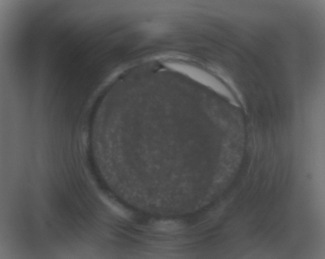 X0000081330063200702082213