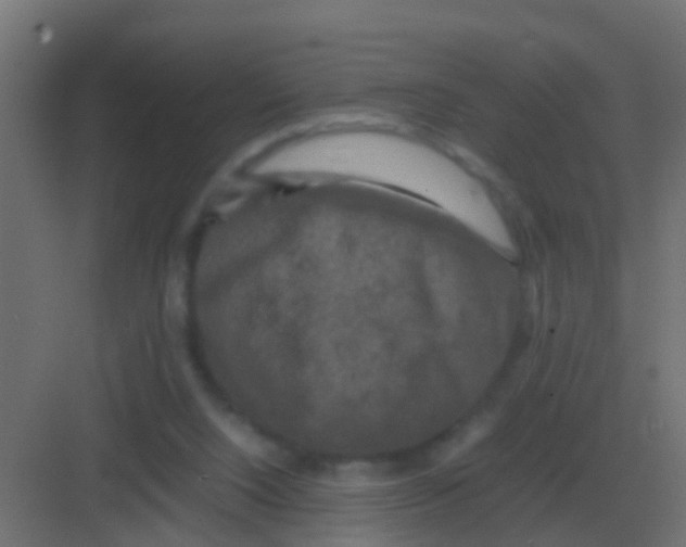 X0000081330064200702082213