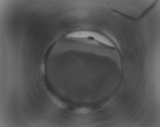 X0000081330067200702082213