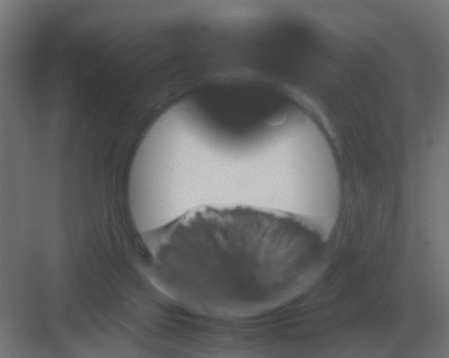 X0000081330069200702082213