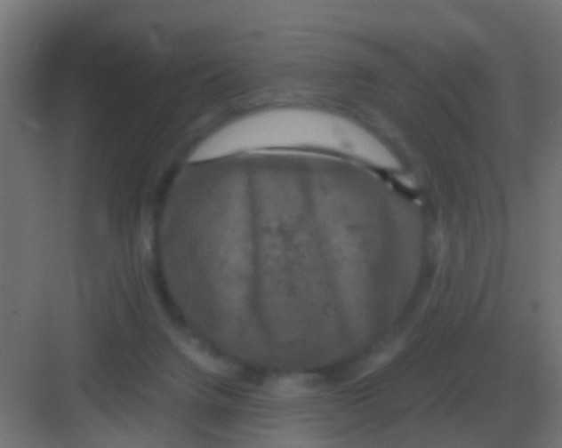 X0000081330072200702082213