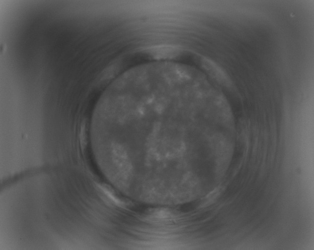 X0000081330074200702082213