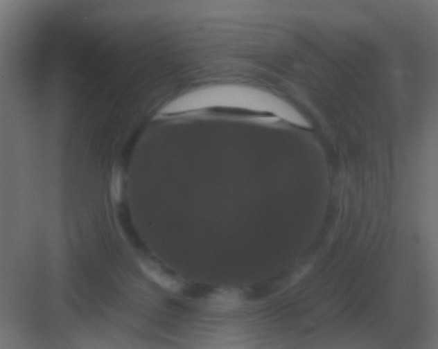 X0000081330076200702082213