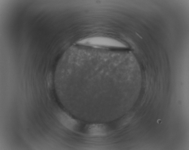 X0000081330077200702082213