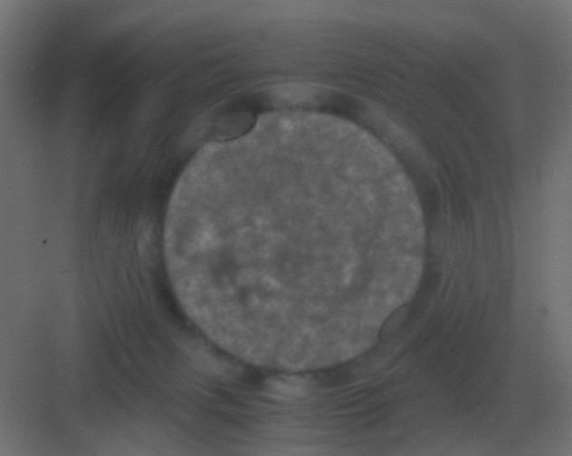 X0000081330079200702082213